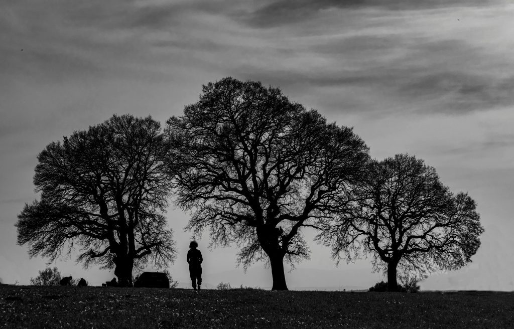 The BARL Manifesto: A Call to Rooted Living